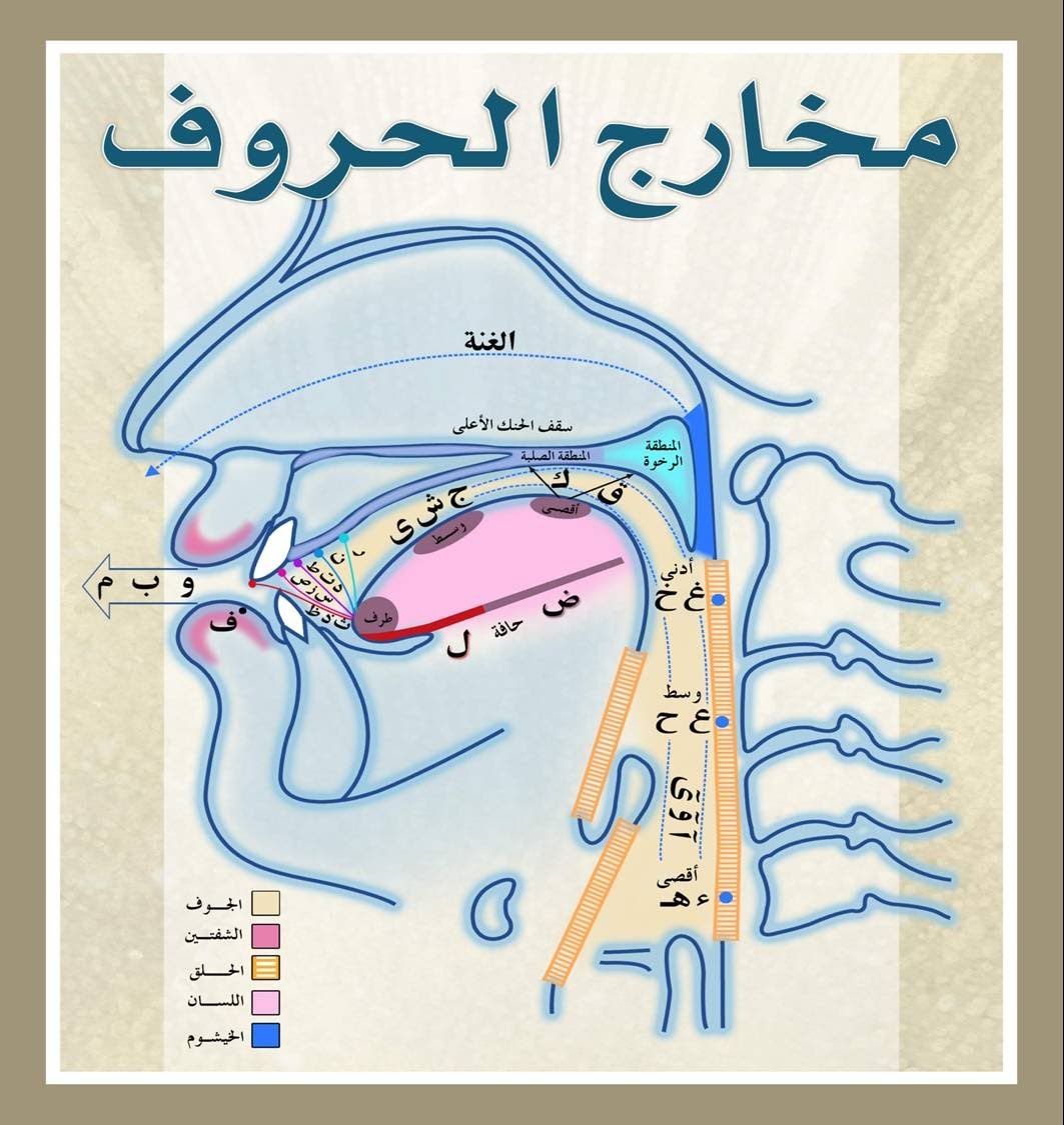 علمُ الأصوات واختلاف السنة البشر وهل باستطاعتنا تعلم كل اللغات