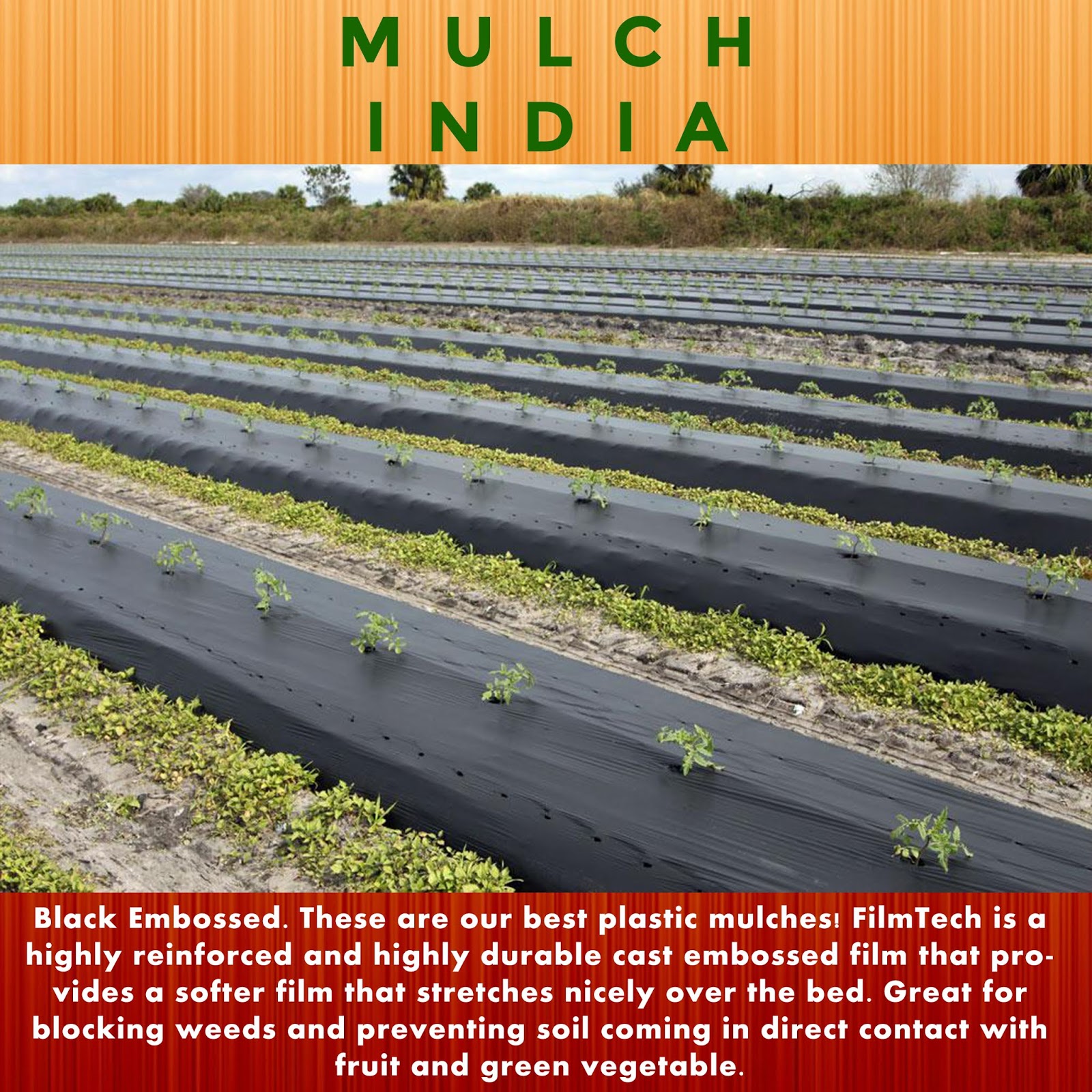 MulchIndia Embossed Plastic Mulch Mulch India