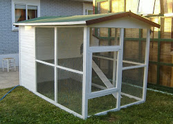 chicken coops coop