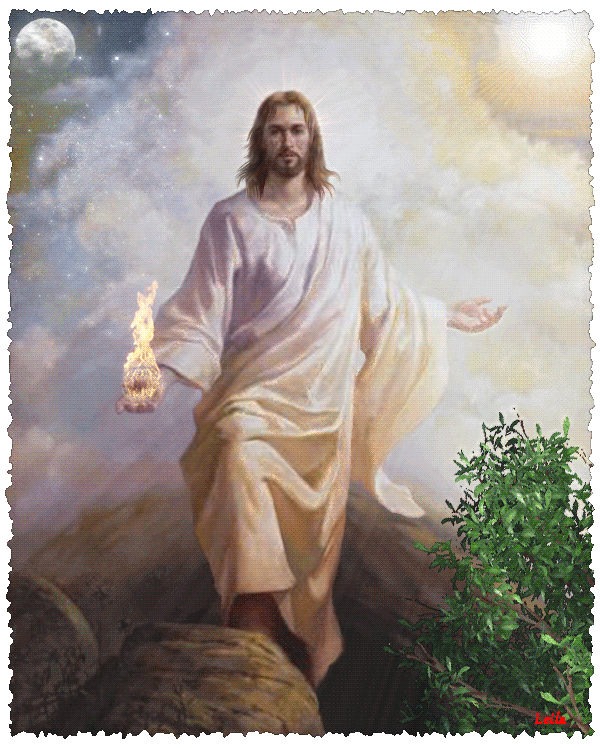 Isis Alada CON VÍDEOS * Que significa poner la otra mejilla? Isis Alada CON VÍDEOS * Que significa poner la otra mejilla?