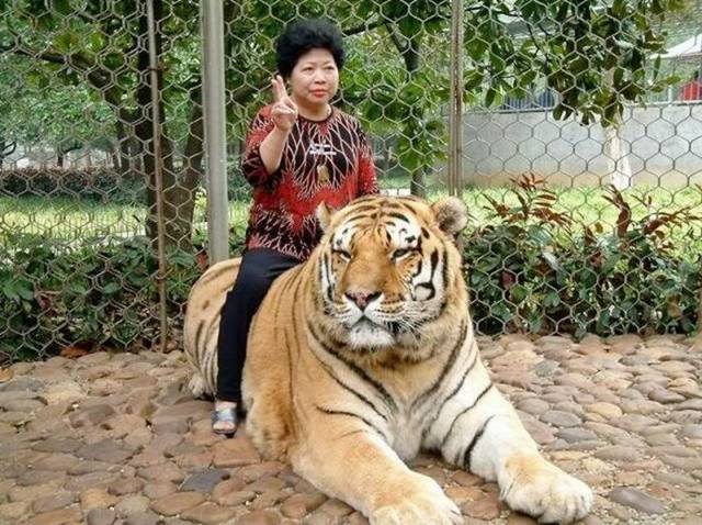 Picdump-Ritemail-007.jpg