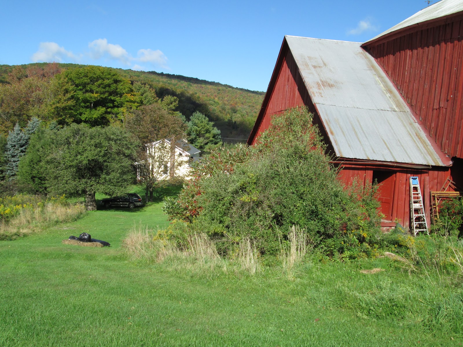 Country Weekend Catskills Weekend