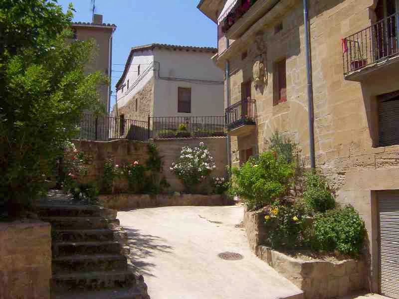 CASAS SOLARIEGAS EN LA RIOJA: (83) SAN VICENTE DE LA SONSIERRA V. Calle