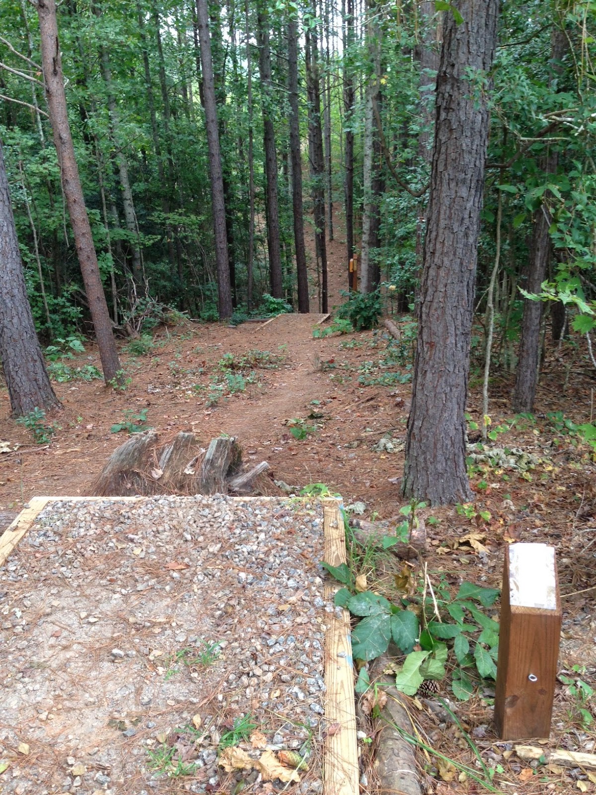 You Care What We Think Sawmills Veterans Park Disc Golf Course