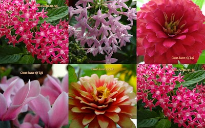 Colorful additions (Addictions?!)