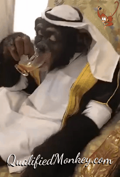 QualifiedMonkey.gif