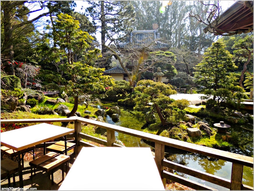 Japanese Tea Garden San Francisco