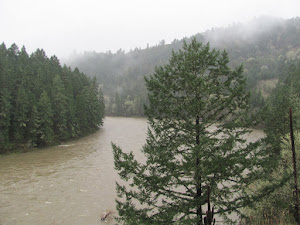 North Umpqua