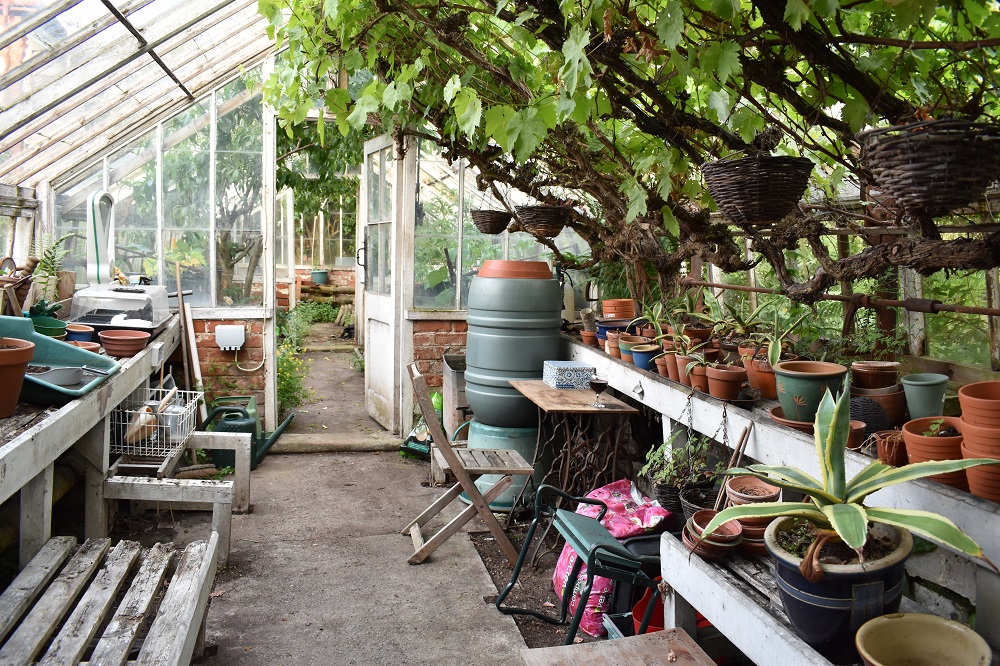 Understanding Latin names of plants