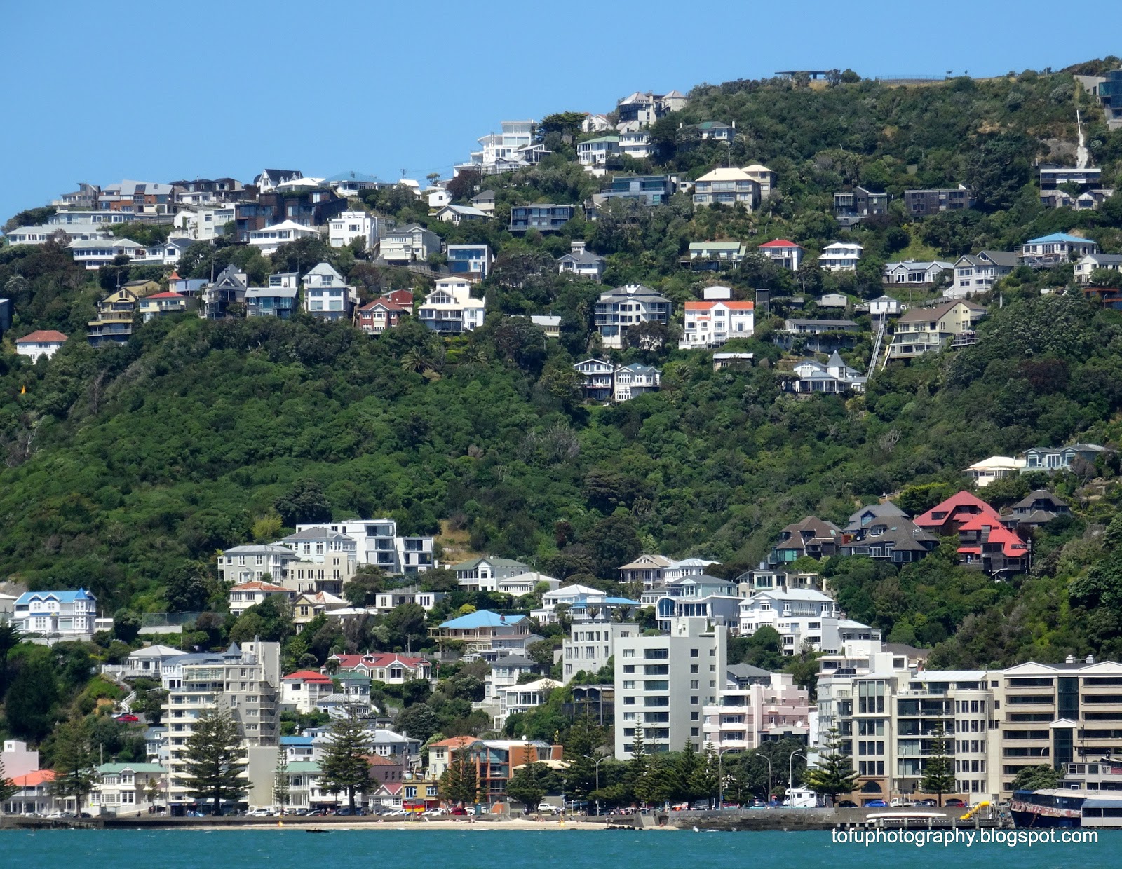 Tofu Photography Houses and hills in Wellington, New Zealand