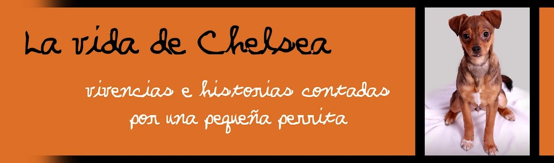 La vida de Chelsea