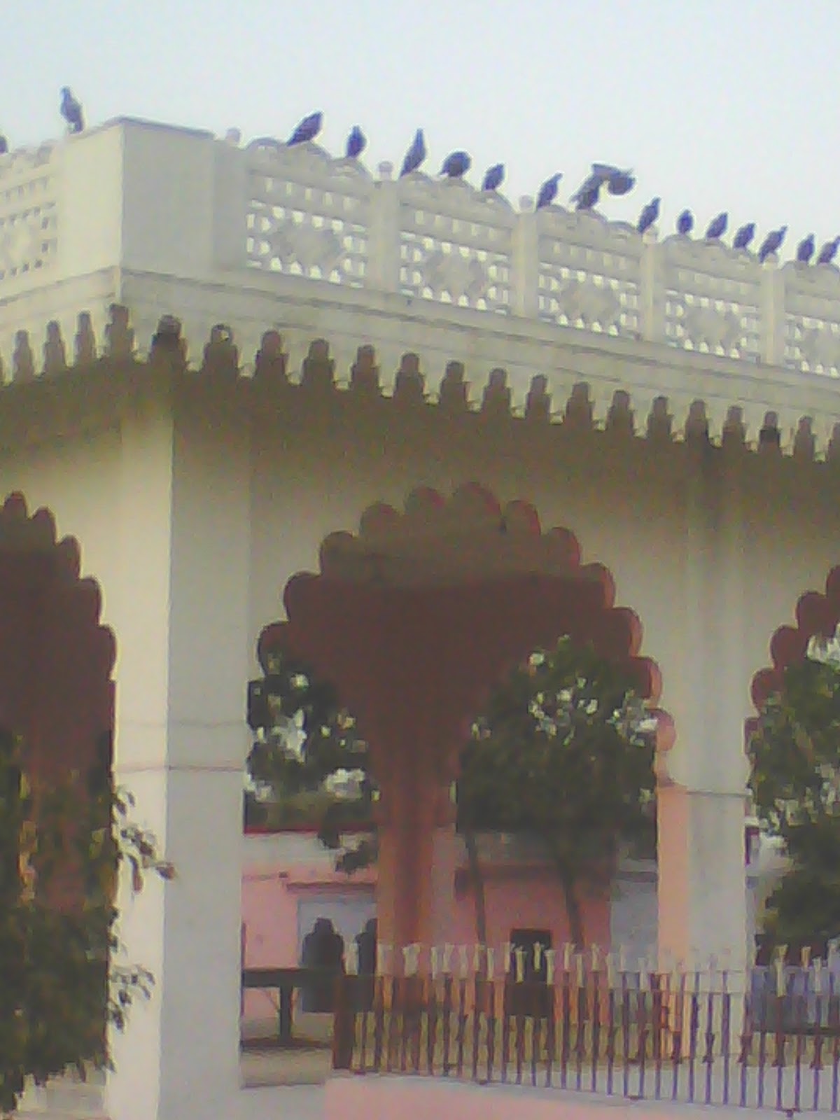 Nimoth Village in Rewari Haryana