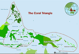 Triángulo de Coral