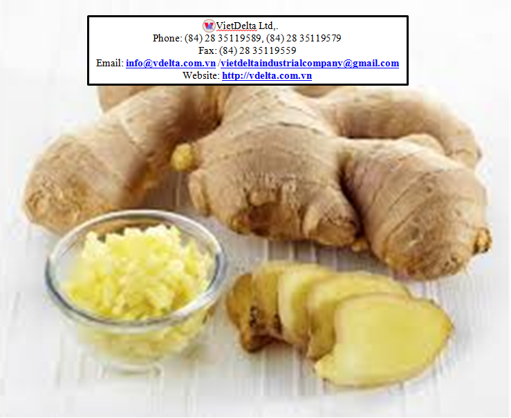 Ginger Exporters Fresh Ginger