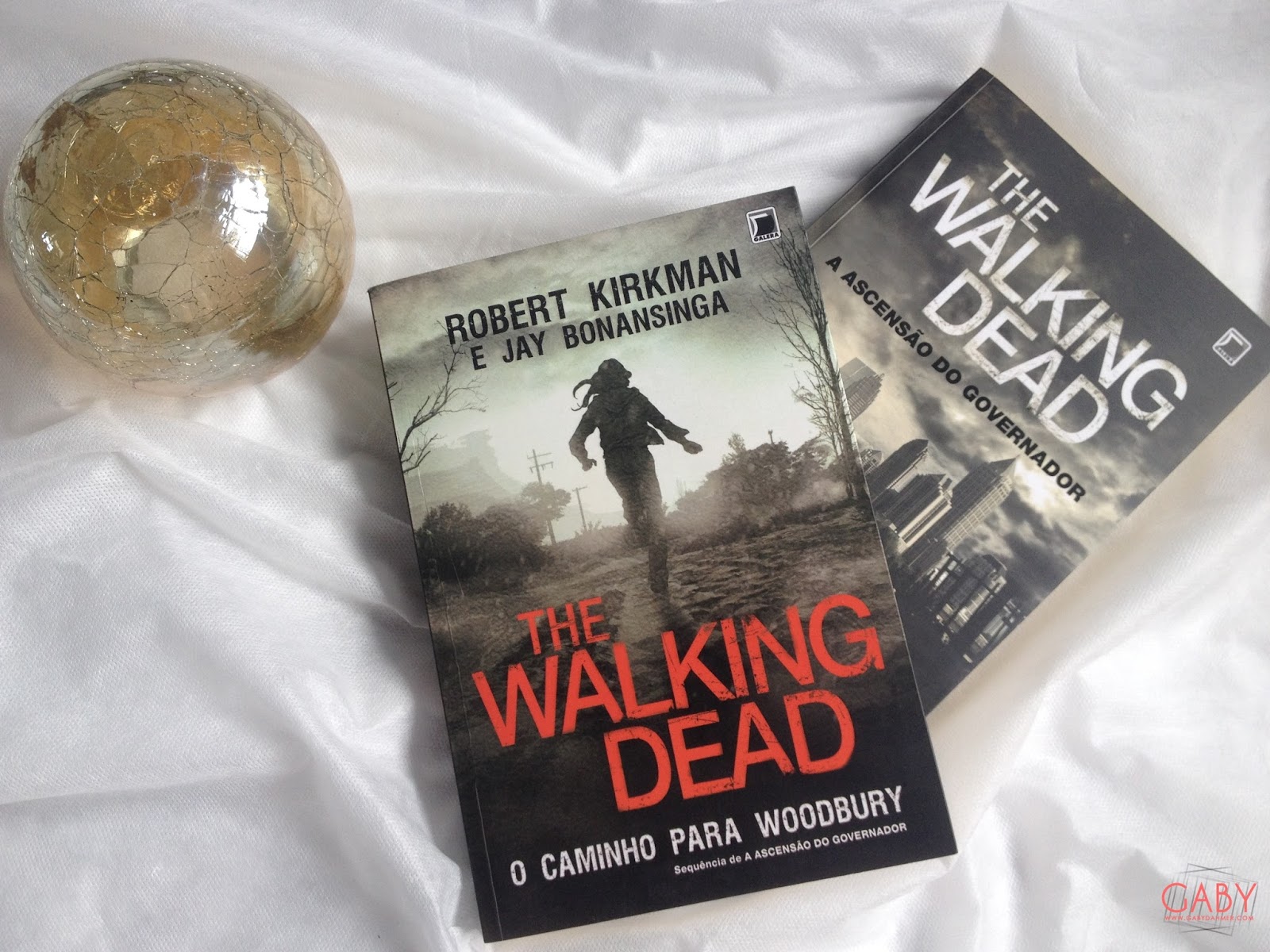 Livro The Walking Dead O caminho