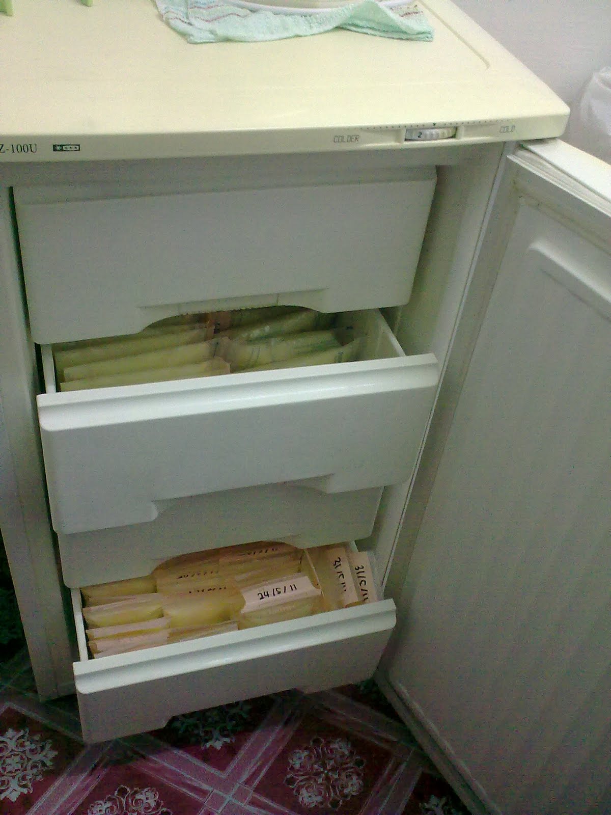  My Beloved Deep Freezer STORY MOWRY