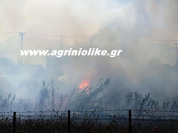 Αποτέλεσμα εικόνας για agriniolike πυρκαγιά