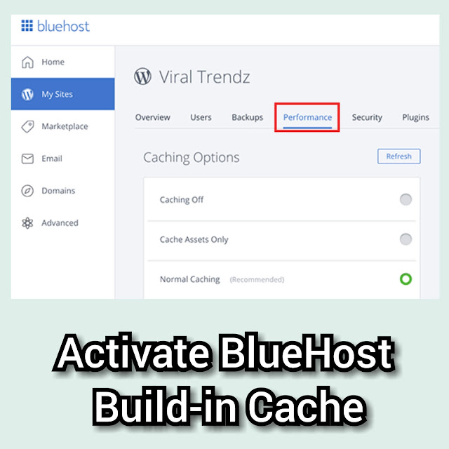 BlueHost Build-in Cache Plugin Settings How to activate BlueHost built in cache