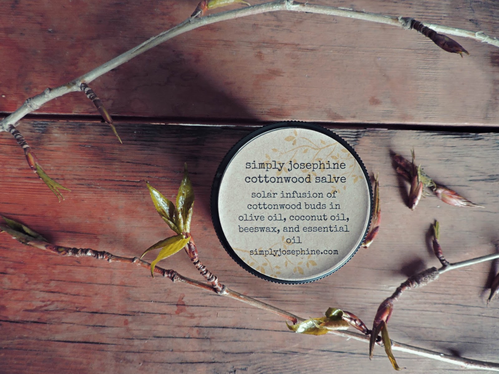 Cottonwood Bud Salve + Balm of Gilead + Healing Ointment
