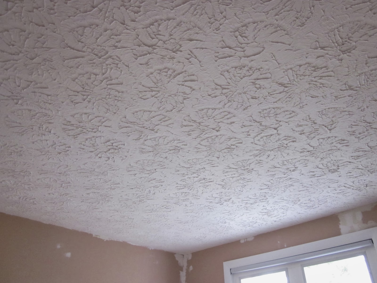 BonnieProjects: Removing textured ceilings