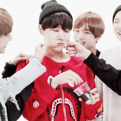 ShimmeringCornyBaboon-size_restricted.gi