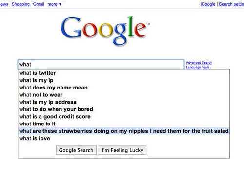 funny google search suggestions. funny google searches
