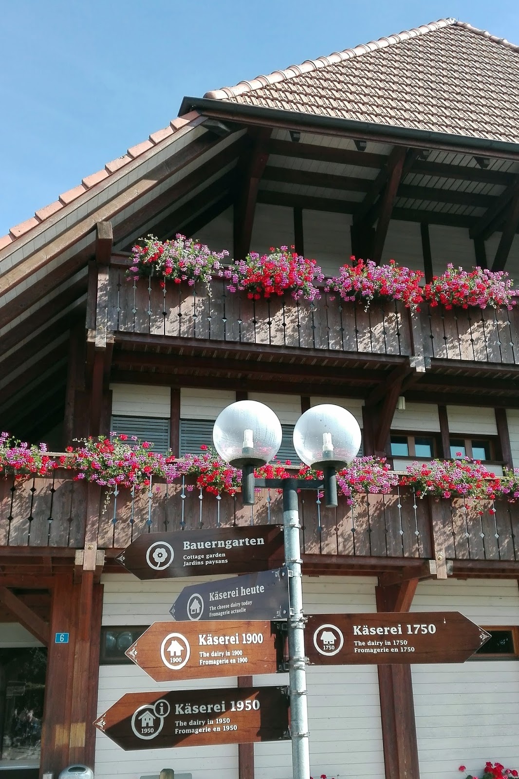 Affoltern im Emmental cheese making factory Our Swiss experience