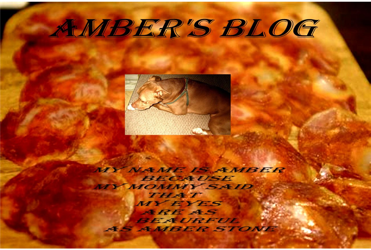 Amber's Blog