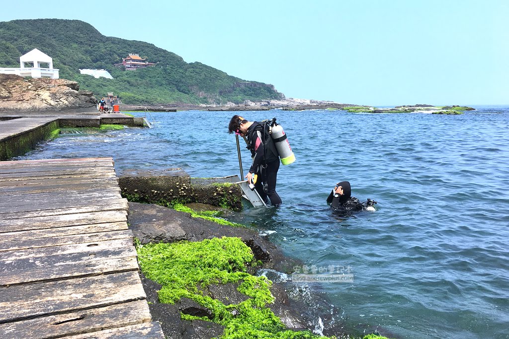 龍洞四季灣潛水心得｜龍洞海底的美需要你來親身潛水