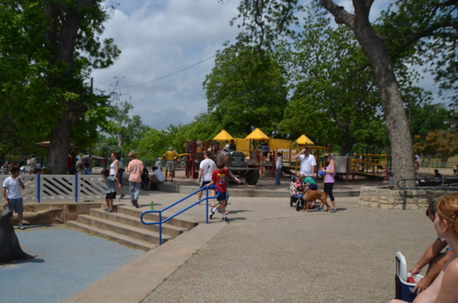Familien Tjelta Stokke i Houston Zilker park