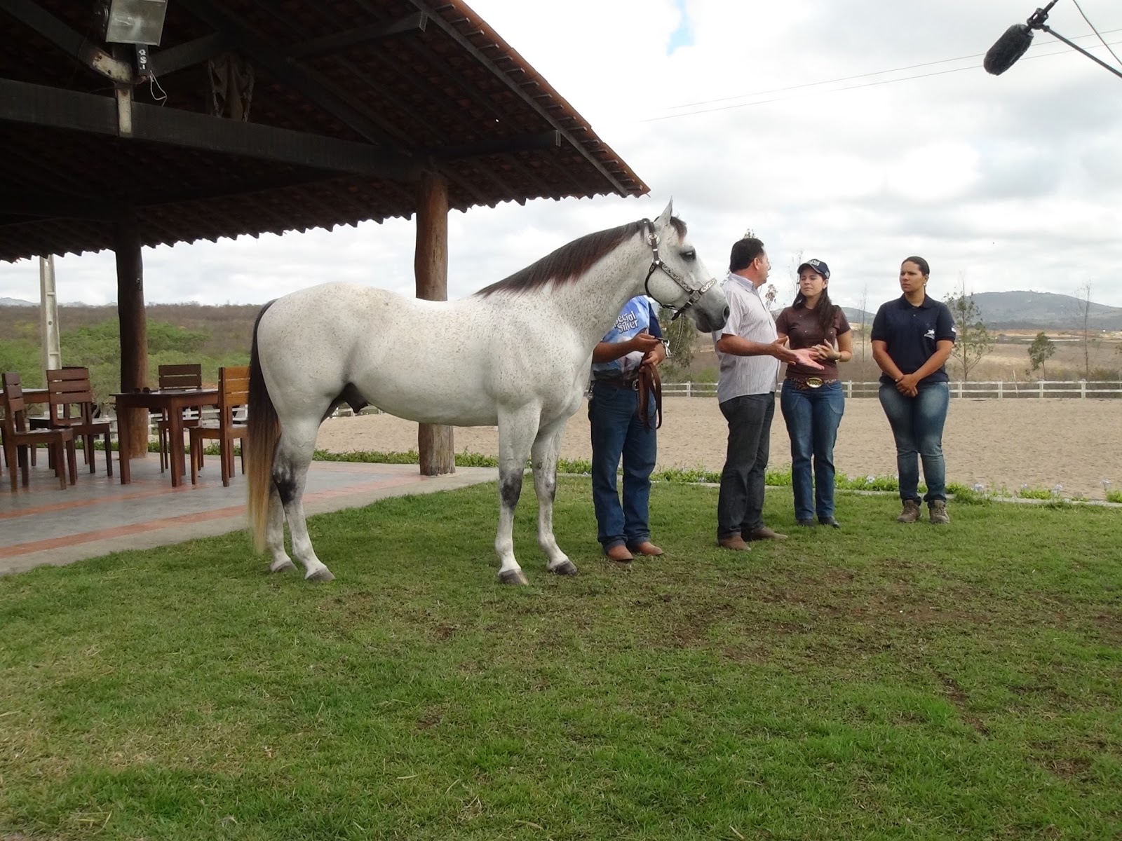 Prefeito de Panelas é destaque no mundo da vaquejada Prefeito de Panelas é destaque no mundo da vaquejada