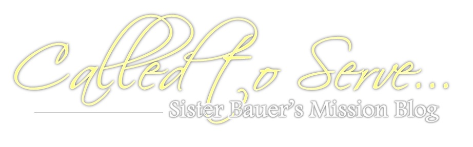 Called to Serve: Sister Bauer's Mission Blog