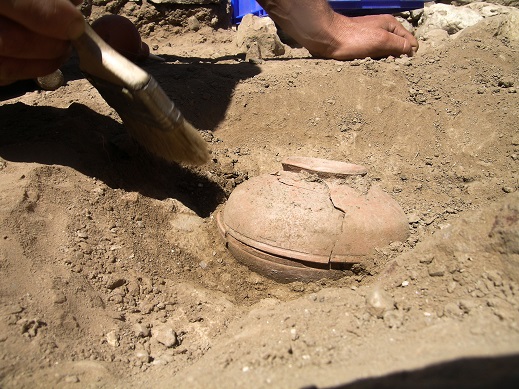 Les graines d'un légume disparu retrouvées dans un pot en argile au bout de 800 ans