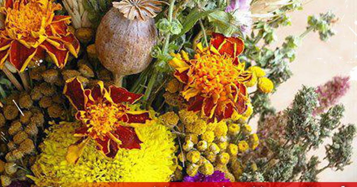 Медовый маковый спас. Булочка с медом. Маковей праздник 2022. Маковея свято. Медовый маковый спас.