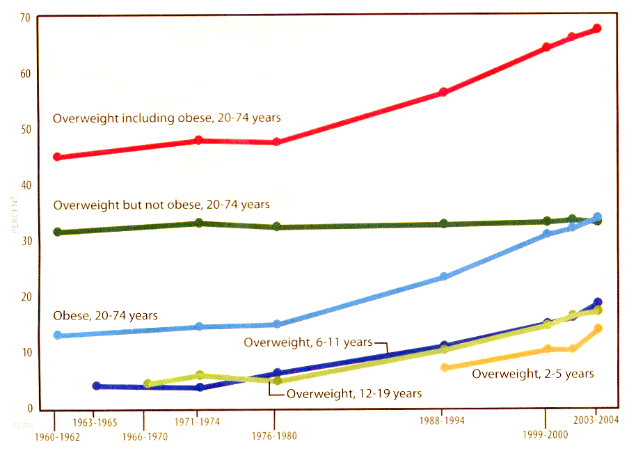 Parakoch More Evidence That Seed Oil Might Be Bad For Your Health