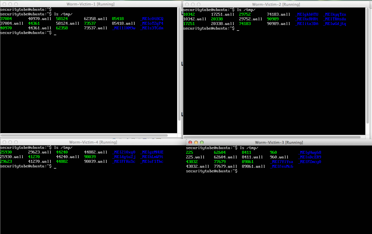 SecurityTube.net Hack of the Day: Simulating an SSH Worm using Python