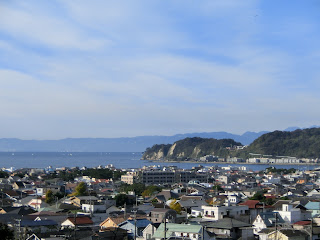 �����_��