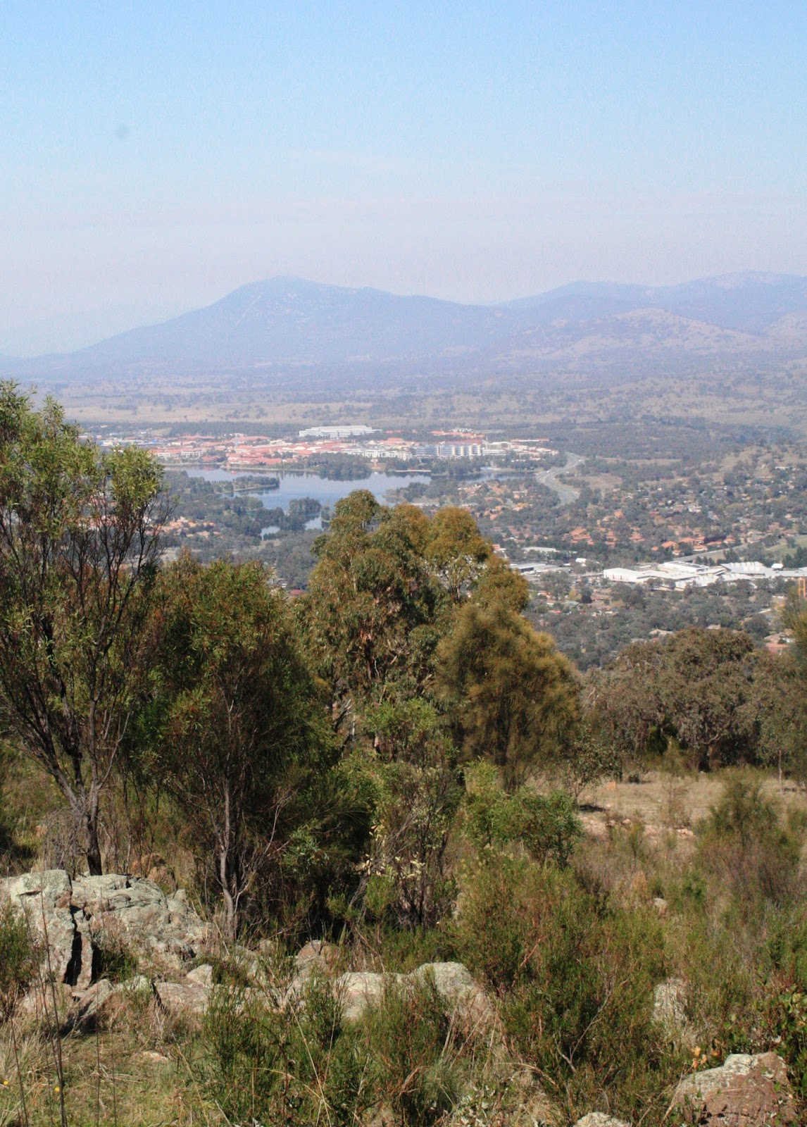 My week in pictures Mt Taylor