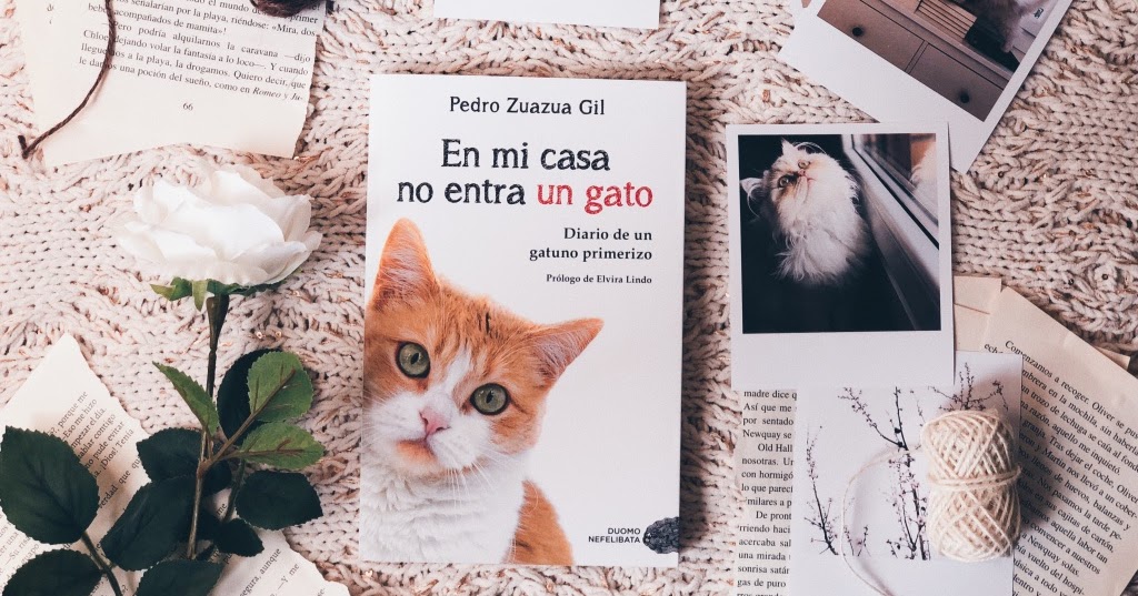 Sonitrix Reads: Reseña "En mi casa no entra gato" Pedro