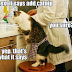 DOG & CAT :- Hahaha...