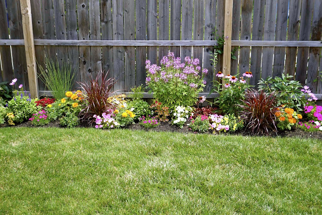 Two Men and a Little Farm: FLOWERS ALONG GARDEN FENCE, INSPIRATION THURSDAY
