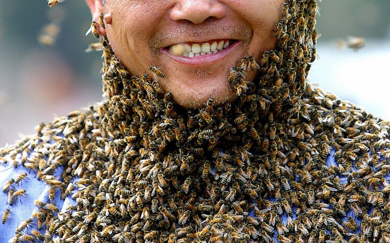 Apitherapy News Bee Products May Help Manage Autoimmune Diseases