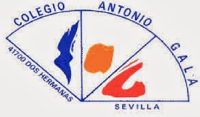 Colegio  Antonio Gala. Web