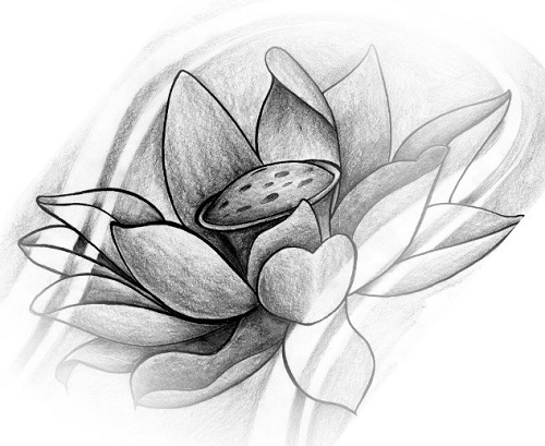 Diseños de flores de loto para tatuajes