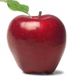 Fakta Menarik Buah Epal  Merah Portal Sumber Ilmu Online