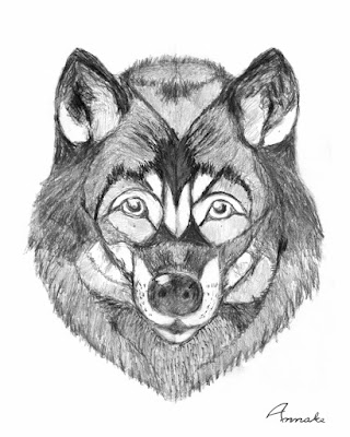Print of enhanced wolf sketch