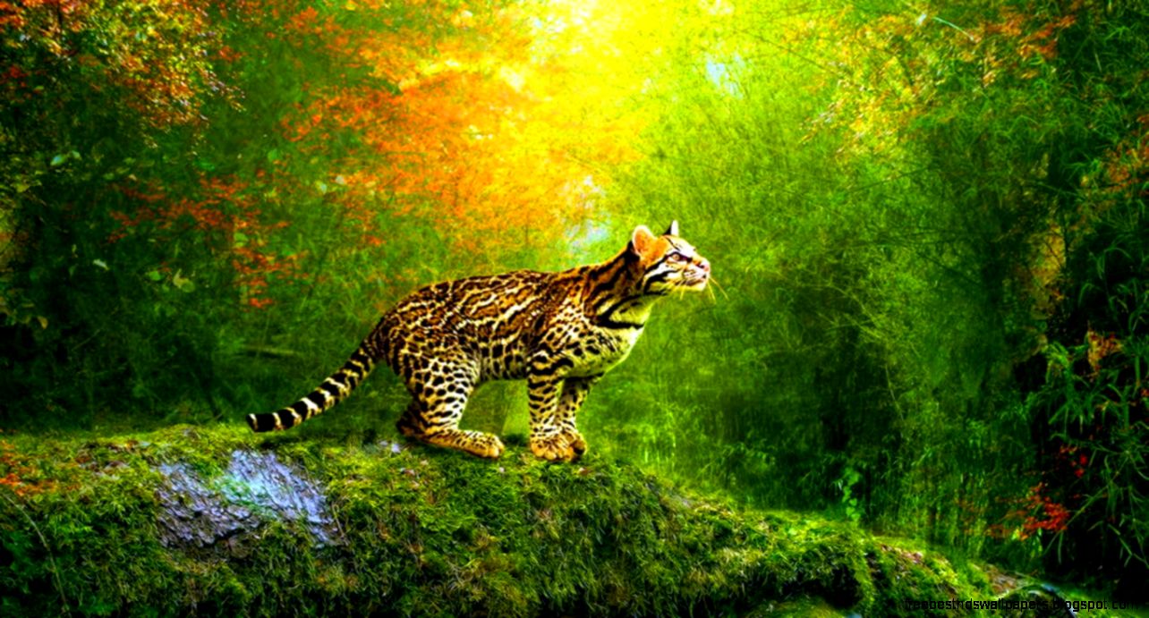 Free 3d Animated Wallpaper  Hindi Motivational Quotes  HD