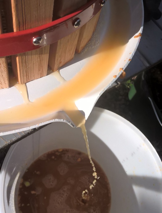 Dreamstate Living How to make Homemade Apple Juice/Cider