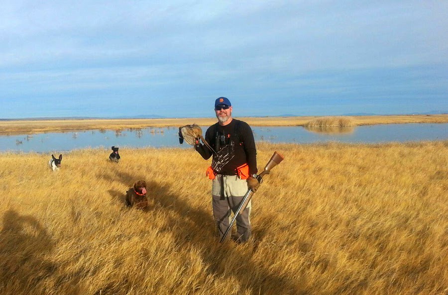 LAST PHEASANTS OF 2014