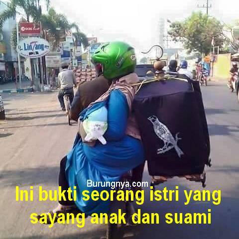 15 Meme Burung Ini Bikin Berpikir Yang Iya Iya Lucu Me